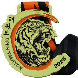 Médaille Open Taekyon
